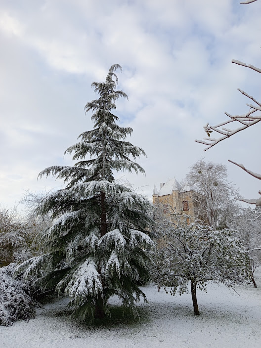 Château à Vézinnes en hiver
