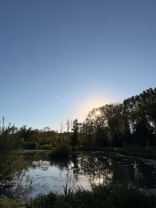 Les environs de Vézinnes dans l'Yonne