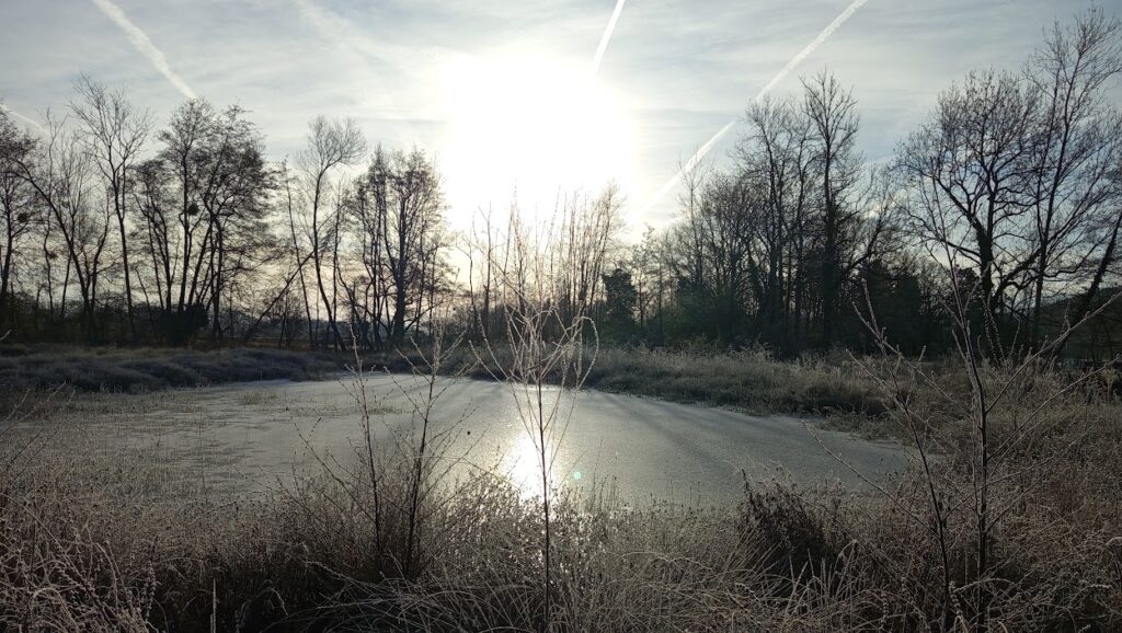 LA noue de Vézinnes en hiver