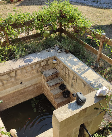 Bassin et jardin fleuri du gîte à Vézinnes en Bourgogne