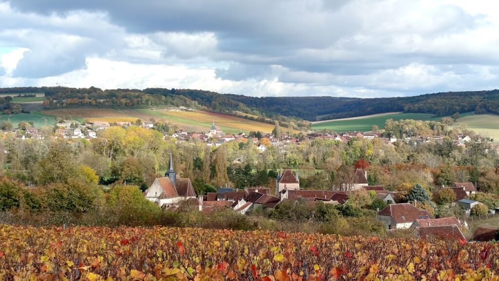 Le village de Vézinnes vu de la vigne des Argiles domaine des Quatre saisons