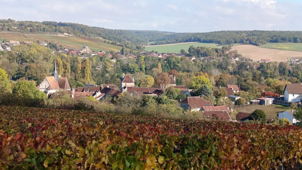 Vézinnes vu des Argiles